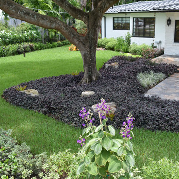 Front Yard Landscaping in Miami