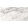 Marble Bianco Gioia 4"x8" Marble Wall Tile, Set of 20