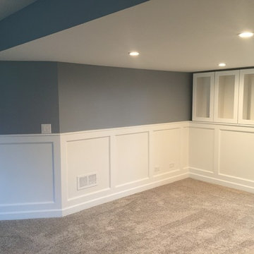Basement Remodel