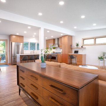 Project 3680-1 Minneapolis Scandinavia Modern Whole House Renovation
