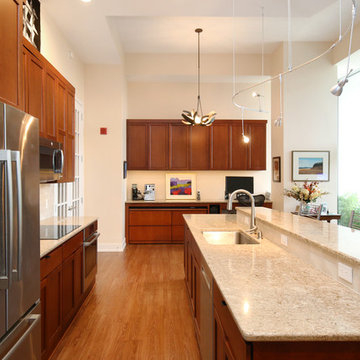 Grand Rapids Condo Kitchen Remodel