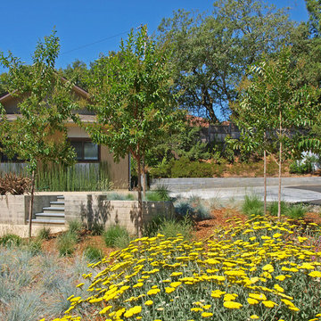 Sustainable New Home Project