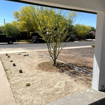 Desert Landscaping — Coronado Historic District, Phoenix