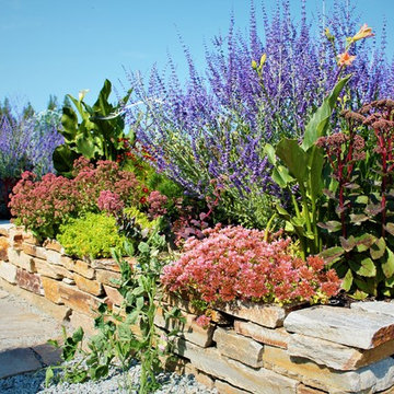 Anacortes Wa backyard