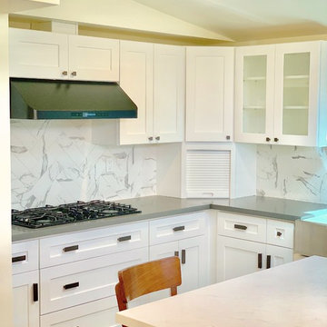 Kitchen Remodel/Renovation