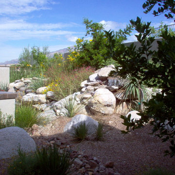 Sabino Mt