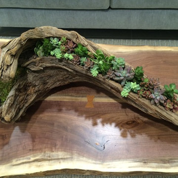 Urban Corporate Lobby Remodel