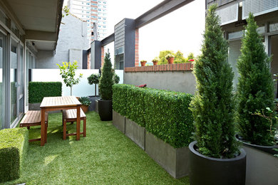 This is an example of a contemporary backyard patio in Melbourne with a container garden and an awning.