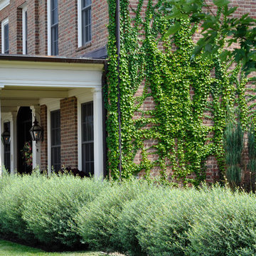Country House