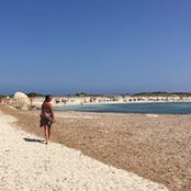 Anne Trinks's photo