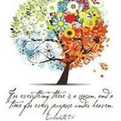 Amanda Wise's photo