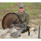 Will Vaughans billede