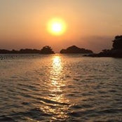 Felicia Mitchell's photo