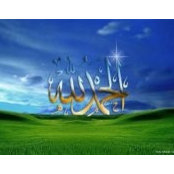 Foto von Mohammed Hani