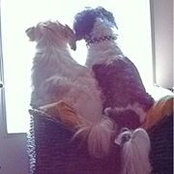 Paula Hernandez's photo