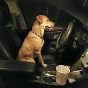 John Swanson's photo