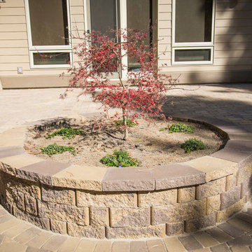 Forest home backyard renovation