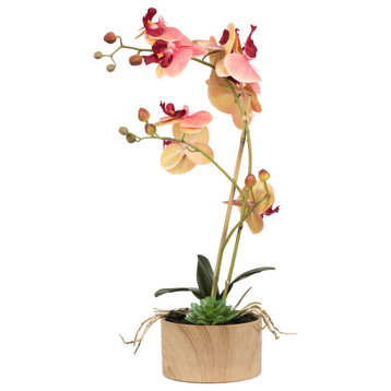 Vickerman 18" Pink/Orange Orchid Arrangement
