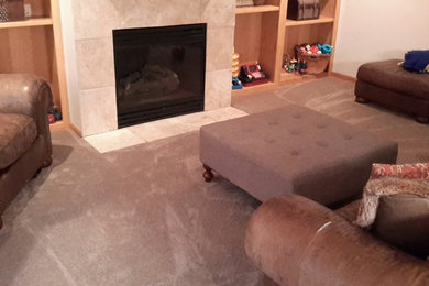 Small transitional carpeted living room photo in Minneapolis with white walls, a standard fireplace and a stone fireplace