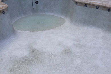 Elegant pool photo in Tampa