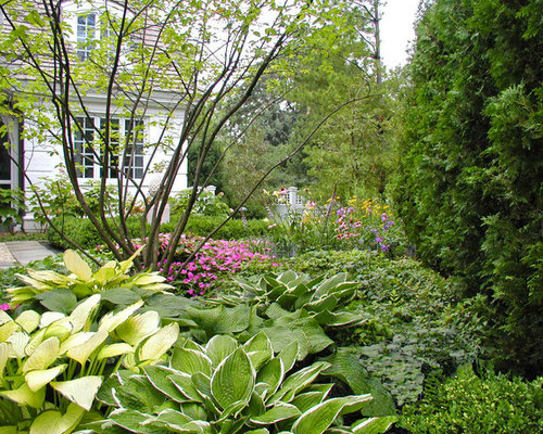 Best Hosta Gardens Design Ideas & Remodel Pictures | Houzz