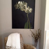 Black White and Sage Orchid Oil Painting