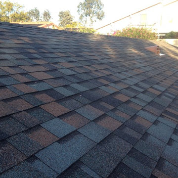 Velux Skylights, OC, Summer harvest