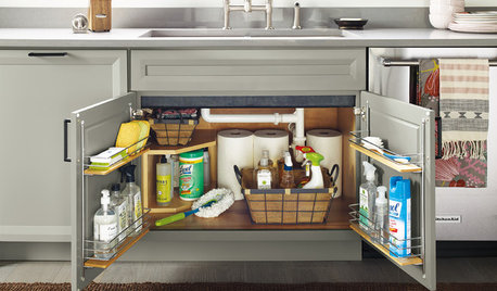 17 Ways to Organise Your Under-sink Kitchen Cabinet