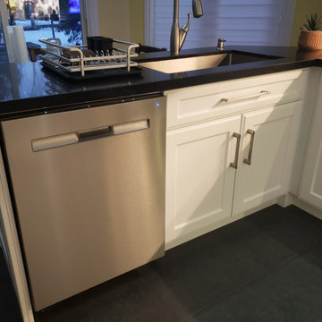 Dishwasher And Sink