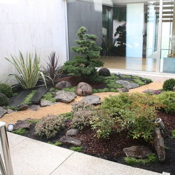 Jardin japones con Niwaki