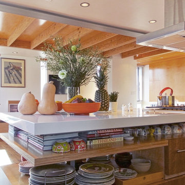 Venice Residence - (fer) studio