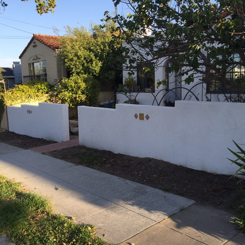 Best plants for new stucco wall