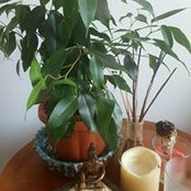 Stefania Lima's photo