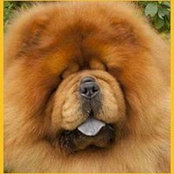 Photo de Doris Harrison