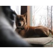 Tania Doran's photo