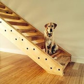 Ross Stone's photo