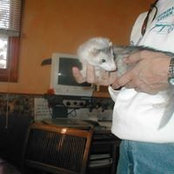 Barbara Moore's photo
