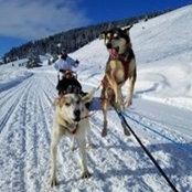 Tammy Brinkmann's photo
