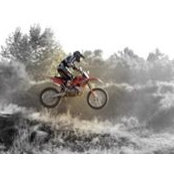 Pedro Ferreira's photo