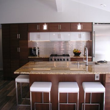 Contemporary Kitchen Renovation