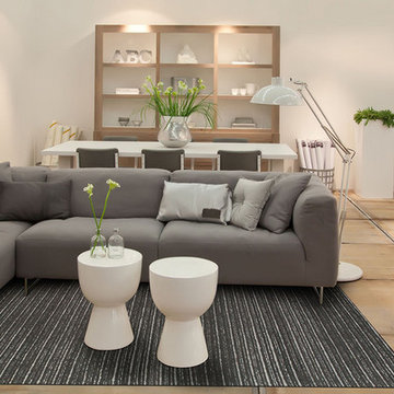 Japel Area Rug - Graphite