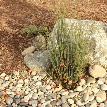 Venice Dry Creek