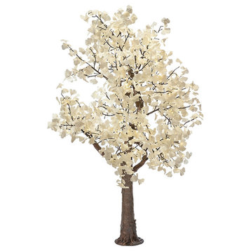 White Gingko Tree