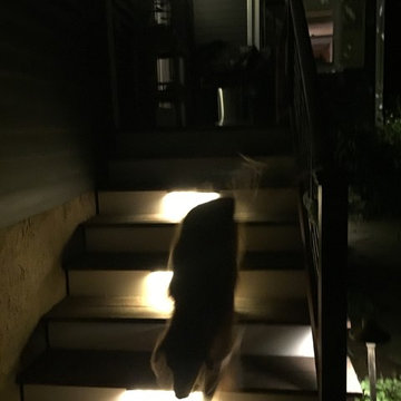 A Shady Secret Garden Lights up the Night
