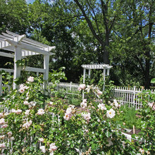 Greenhouse/Garden