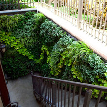 Green Walls