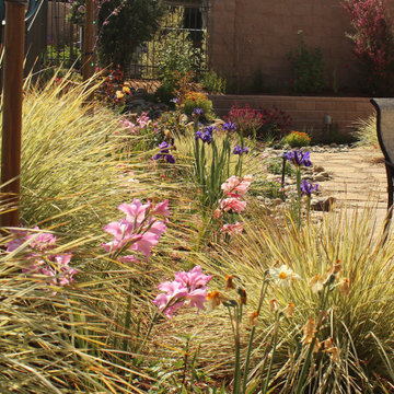 Arresting Dunes - Coastal Gem Garden
