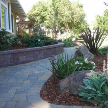 Yard Inspiration