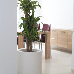 Cilindro Planter - Products
