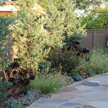 Garden Ideas